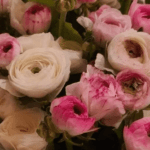 bouquets des roses